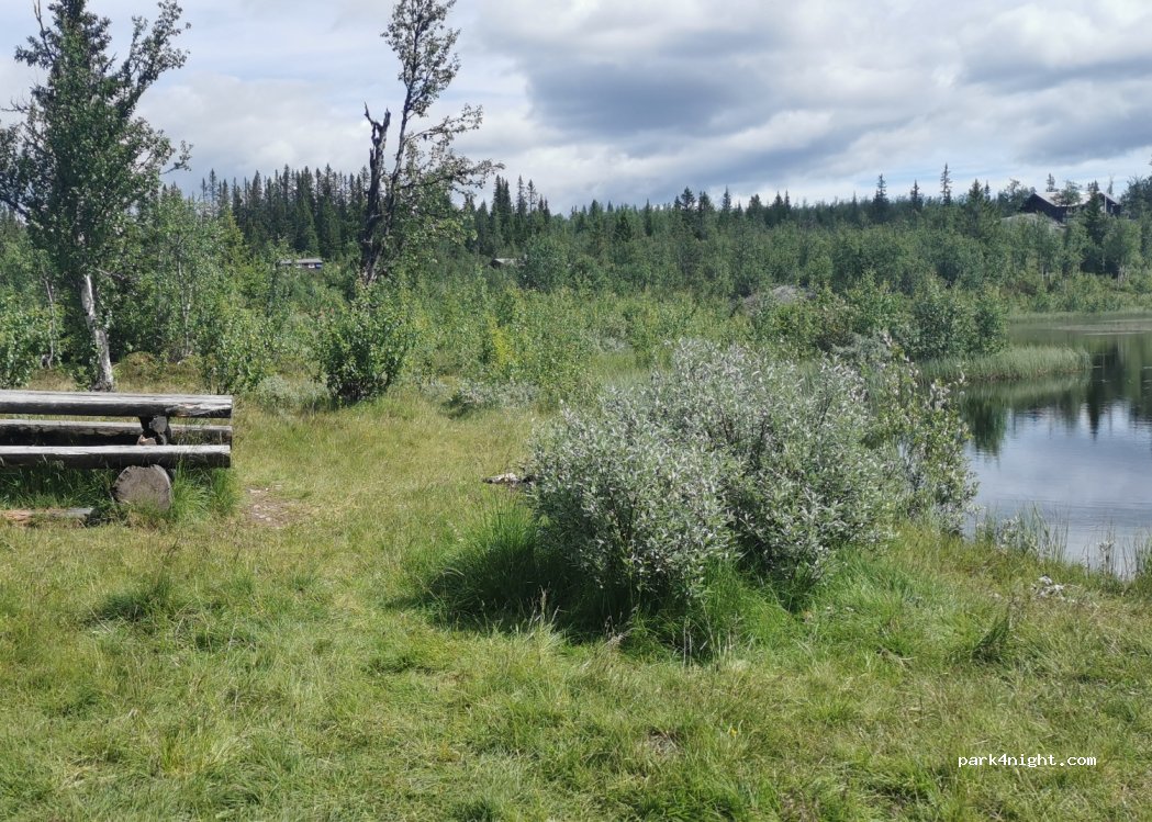 (2880) Nord-torpa - Sekundær Fylkesveg 2442 — foto 3