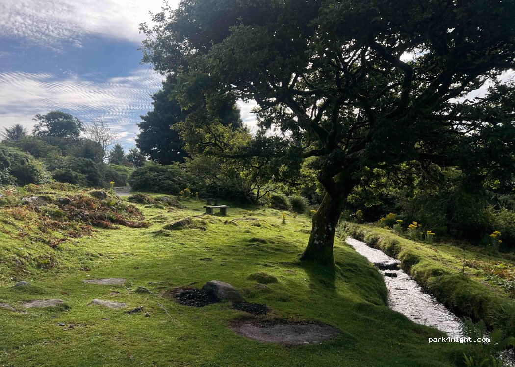 (L20 6PE) Yelverton - — foto 4