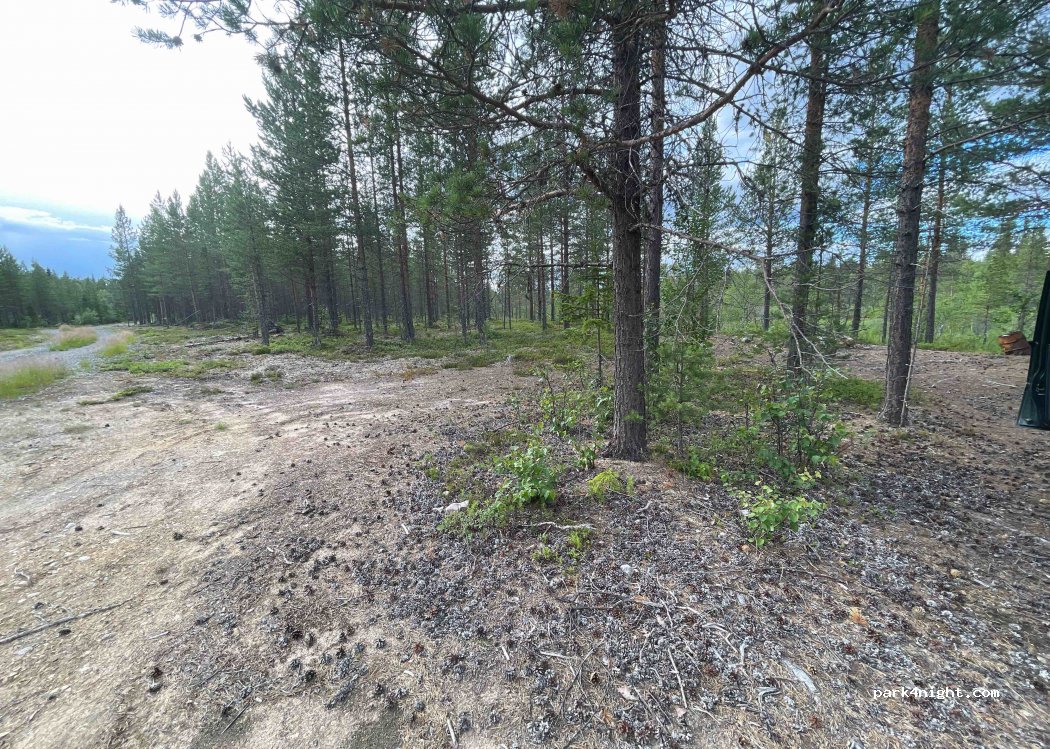 (962 05) Kåbdalis - — foto