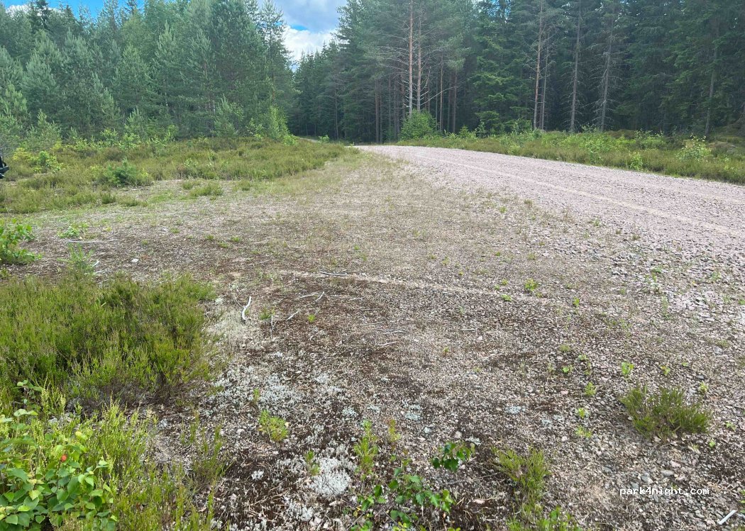 (683 95) Mangostorp - — foto