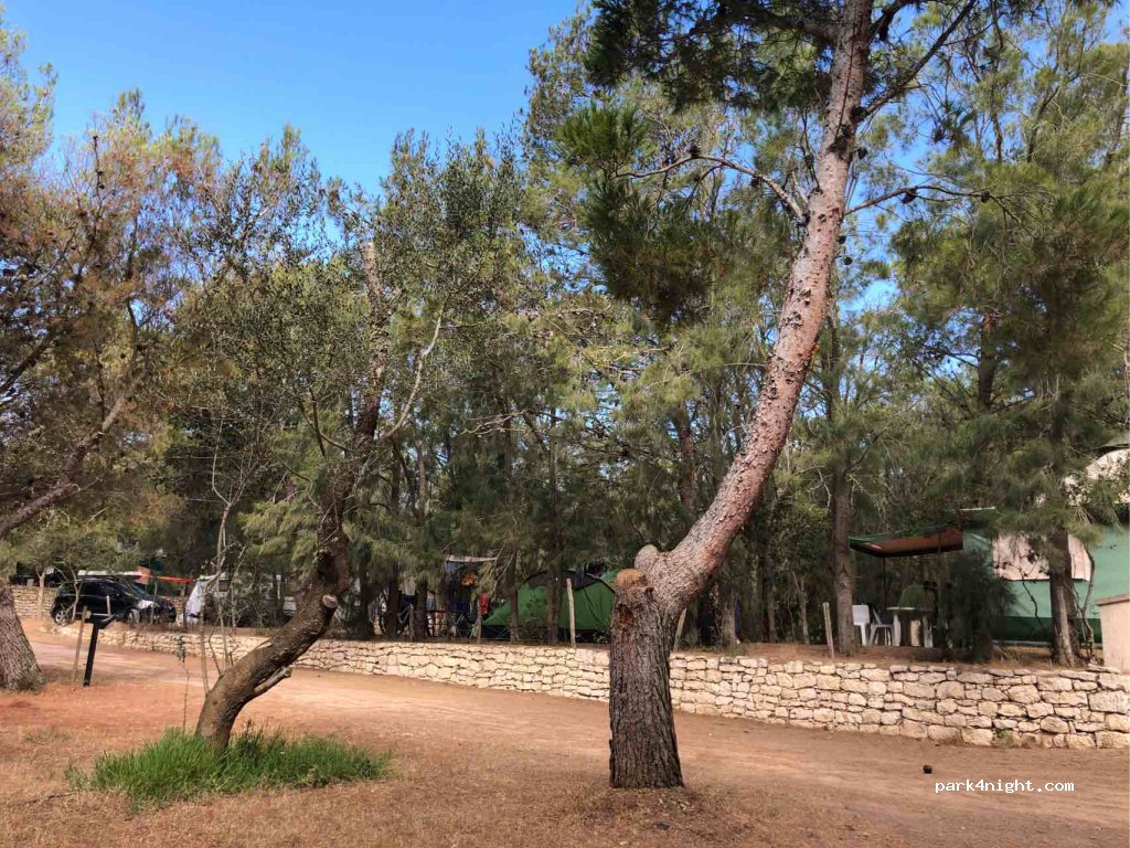 Camping Pian Del Fosse — foto 2