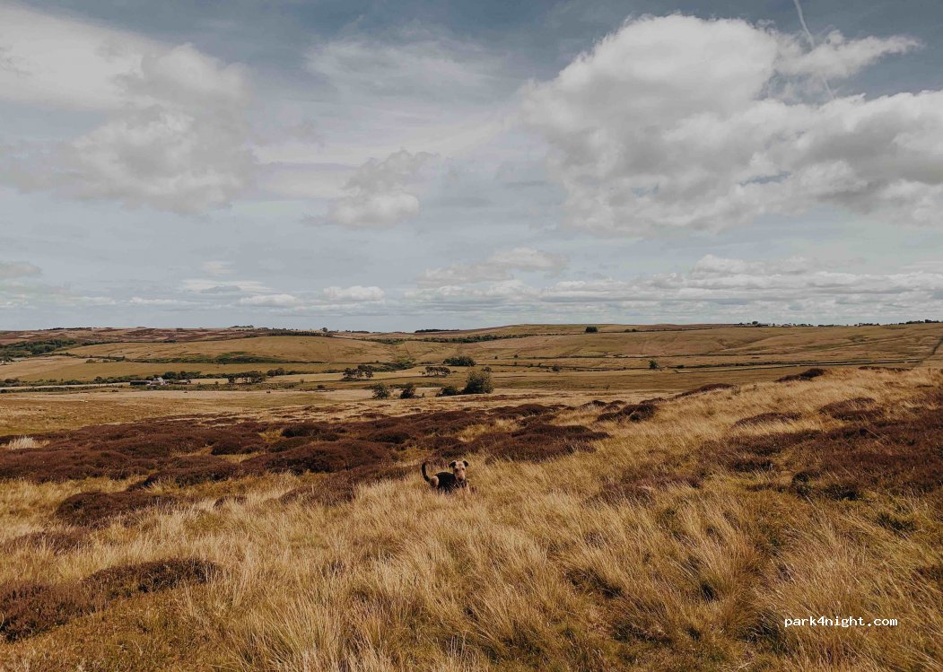 (DH8 9DZ) Consett - — foto 2