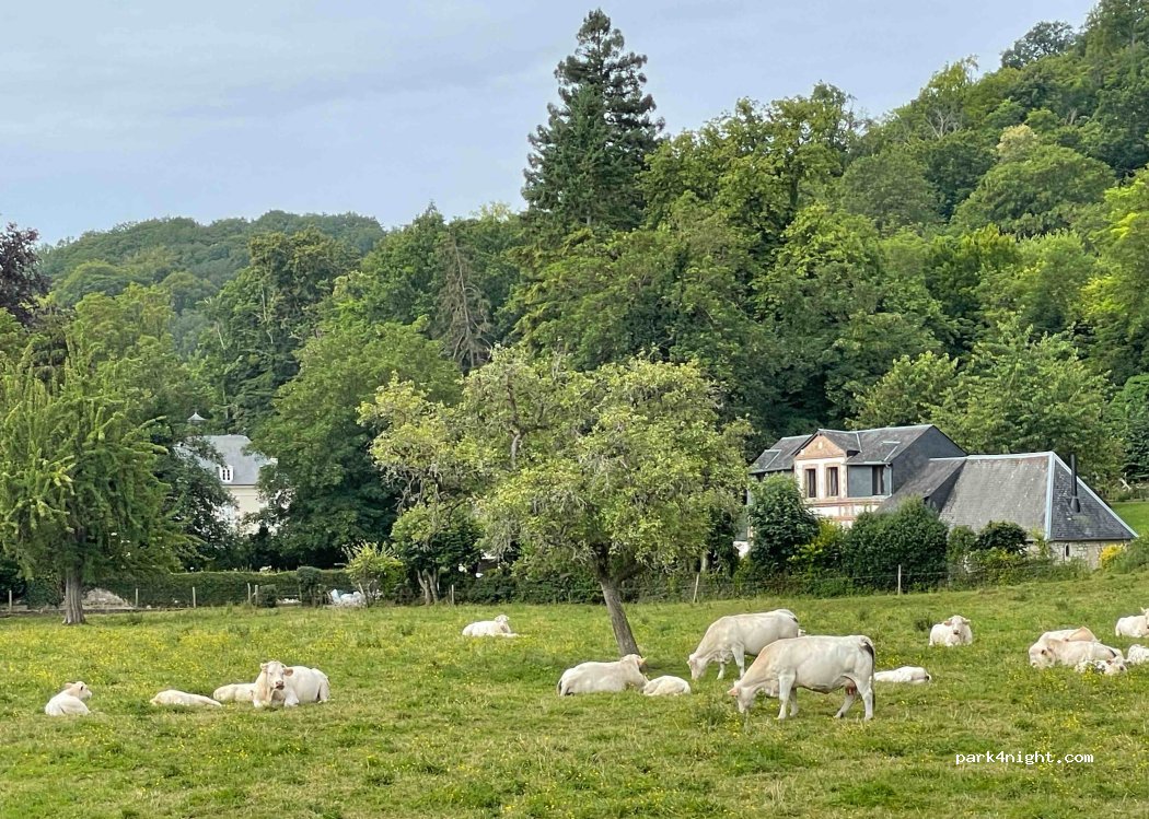 (76480) Bardouville - Beaulieu — foto 4