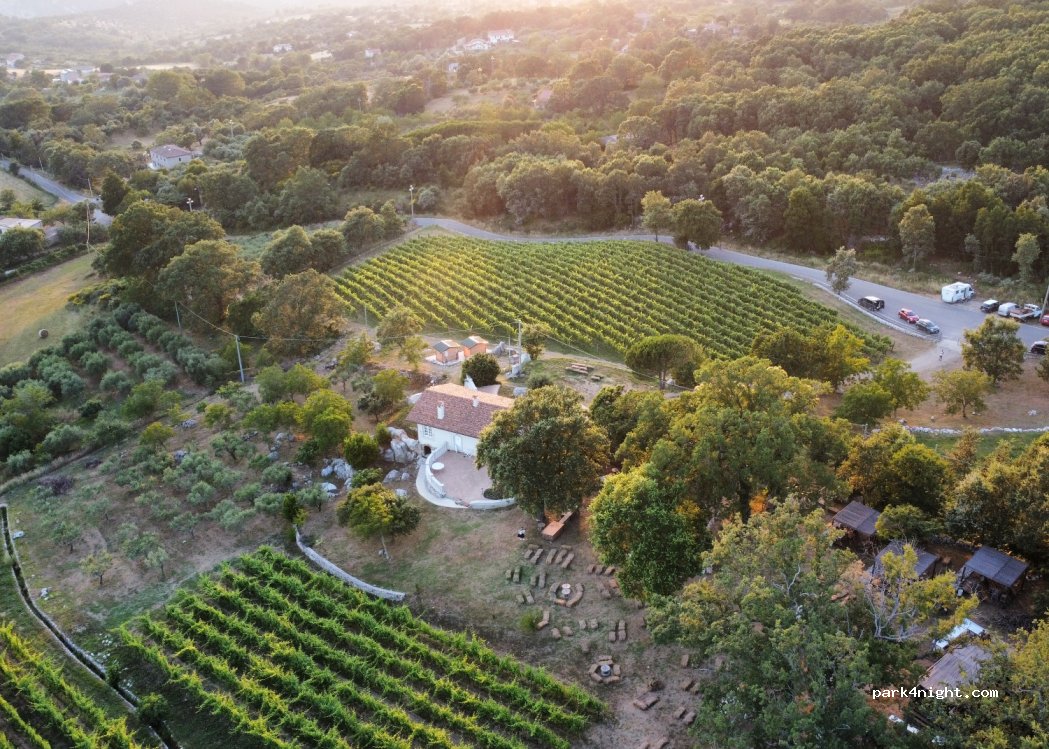 Vino Tredaniele — foto 2