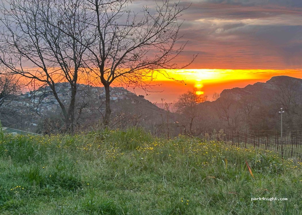 Vino Tredaniele — foto 5
