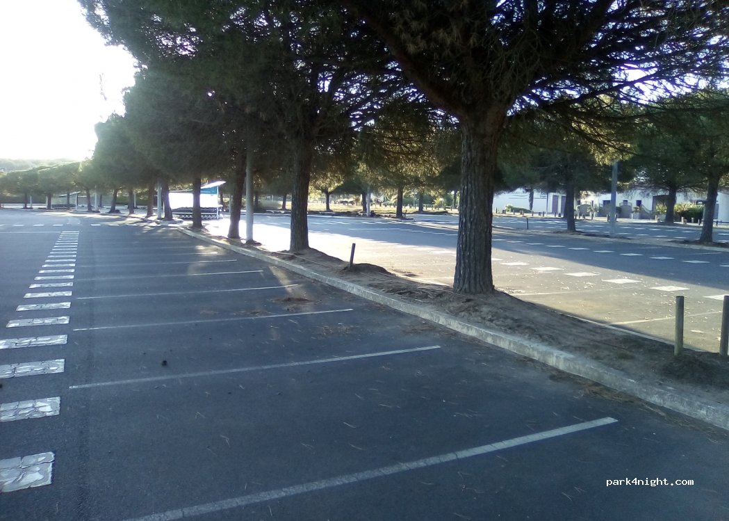 (44330) Vallet - 12 Rue des Fauvettes — foto 2