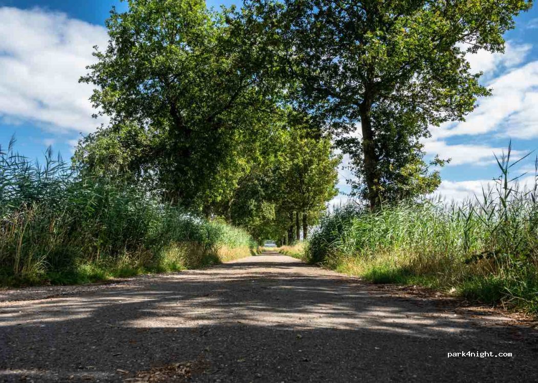 (7241 PN) Lochem - 4 De Heest — foto 3