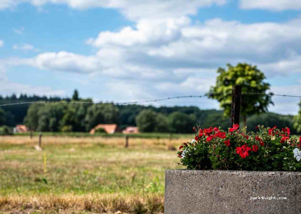 (7241 PN) Lochem - 4 De Heest — foto 4