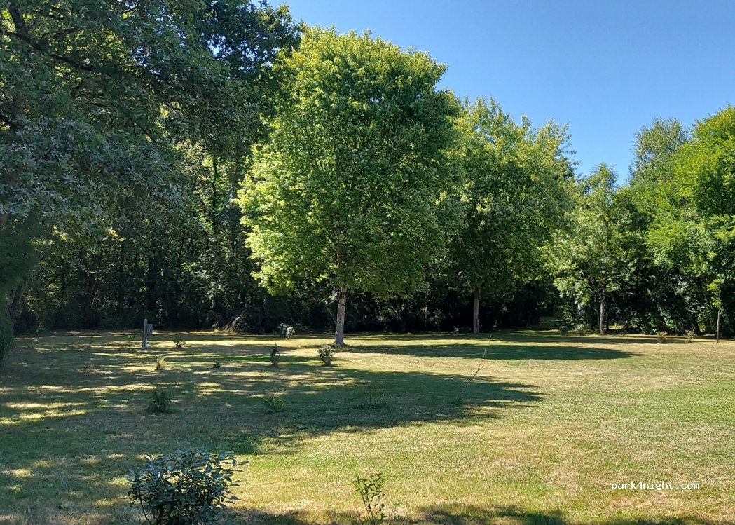 Camping 4 leaf clover — foto 3