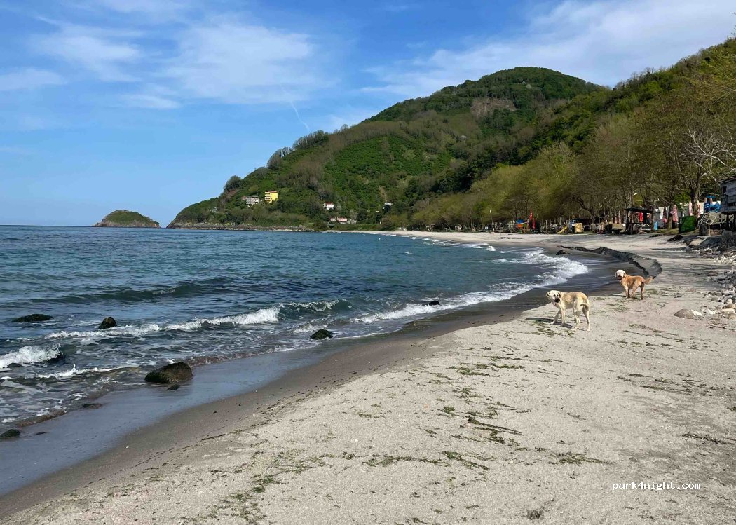 (52750) Ordu - Bolaman Yolu — foto 2