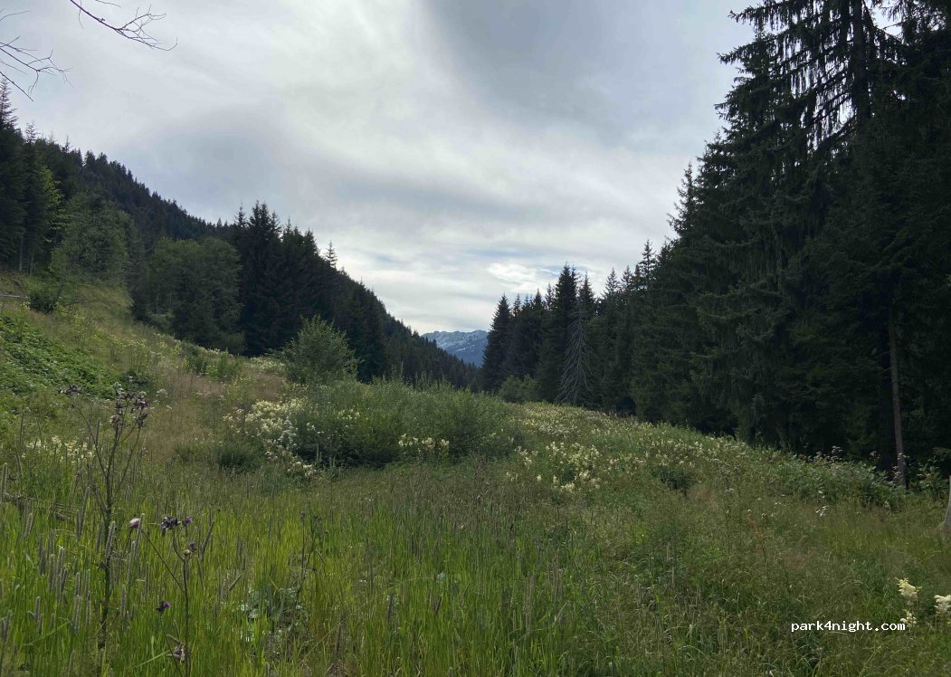 (74450) Le Grand-Bornand - Rte des Frasses Jacquier — foto 3