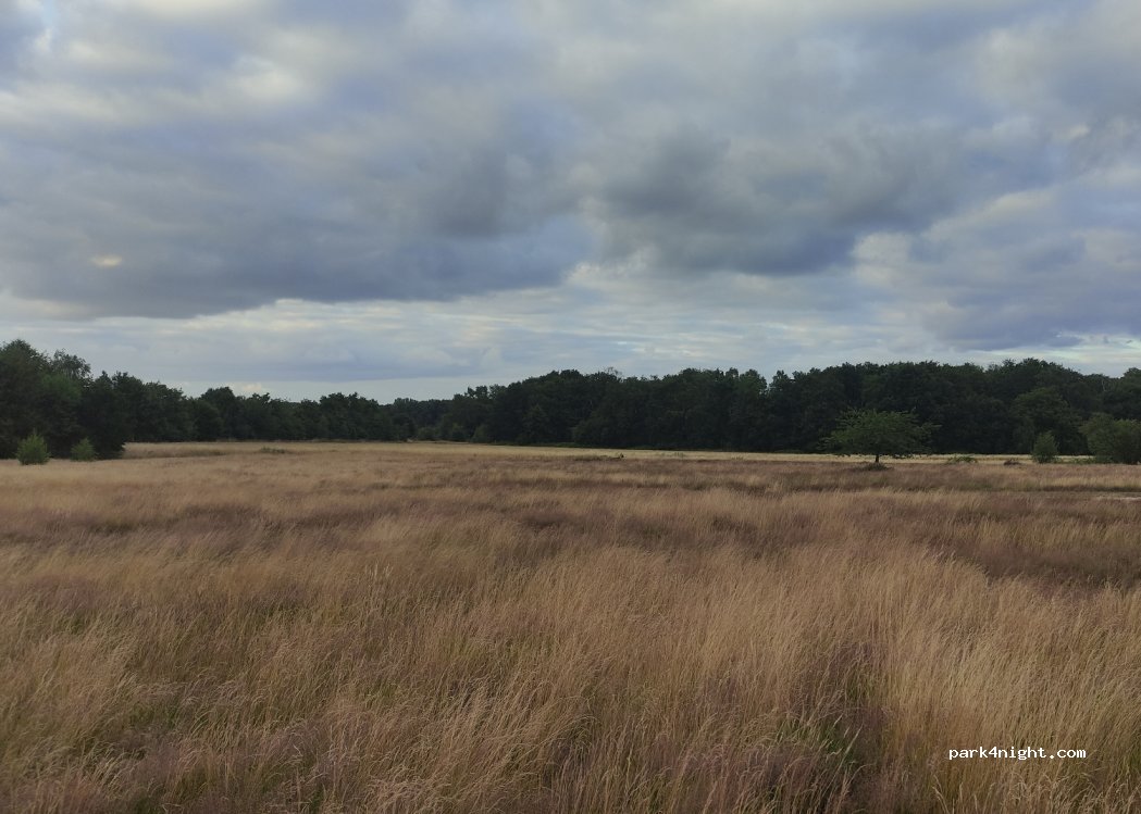 (47802) Krefeld - 1 Siedlung Egelsberg — foto