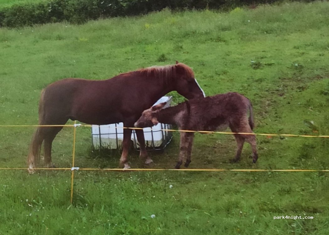 (12800) Quins - La Combe d'Issart — foto 3