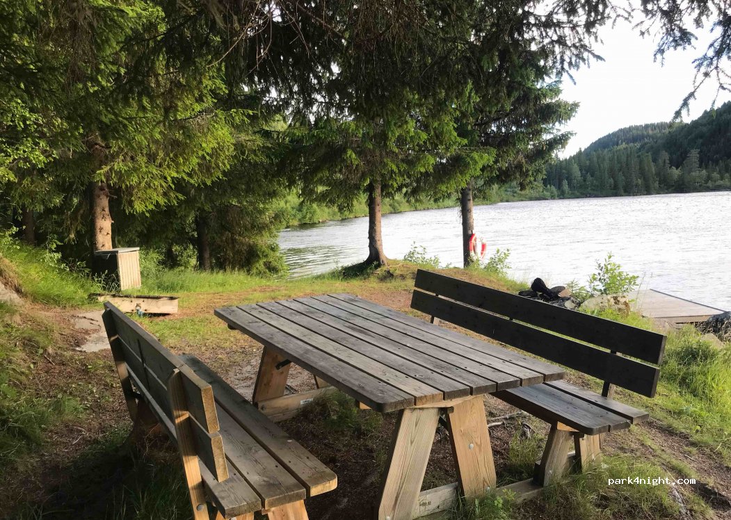 (3891) Høydalsmo - Lardalsvegen — foto