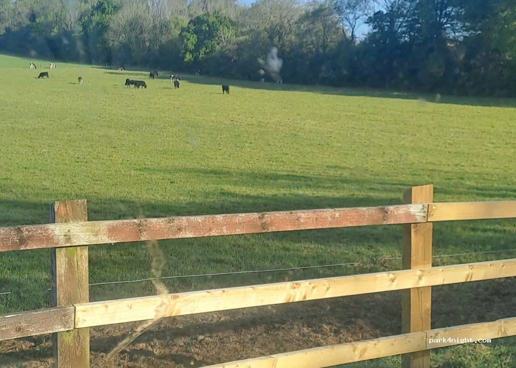 (V92 W279) Ballyseedy Cottages - Unnamed Road — foto 2