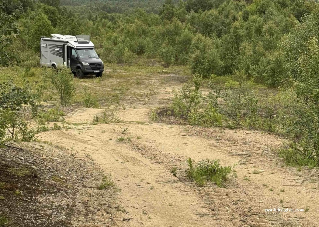 (9303) Grasmyrskogen - — foto 3