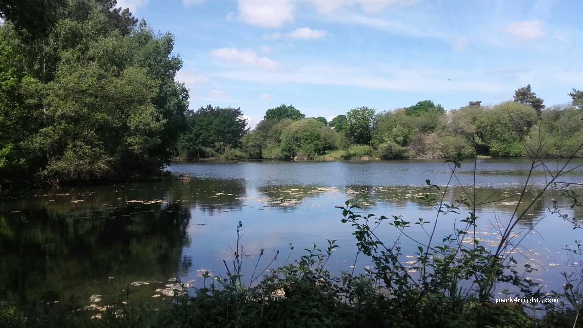 (35380) Plélan-le-Grand - Les Cannehils — foto