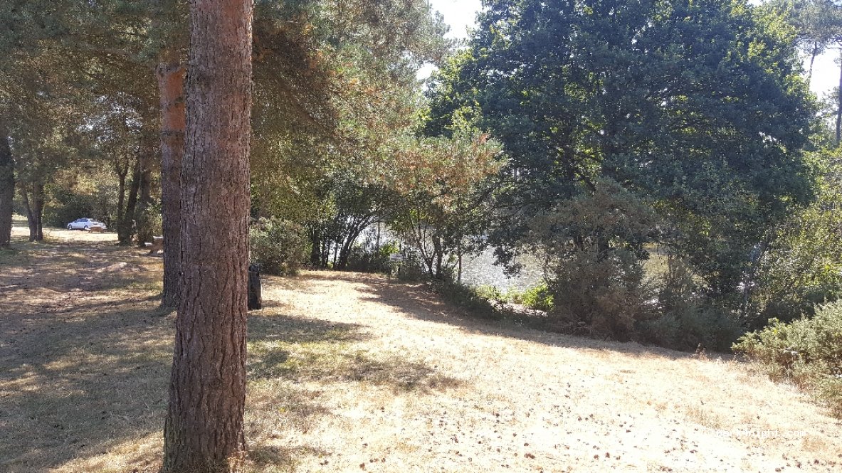 (35380) Plélan-le-Grand - Les Cannehils — foto 2
