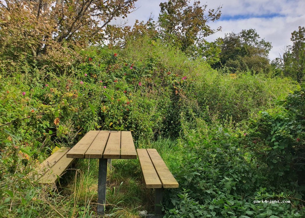 (5800) Nyborg - Dyrehavevej — foto 5