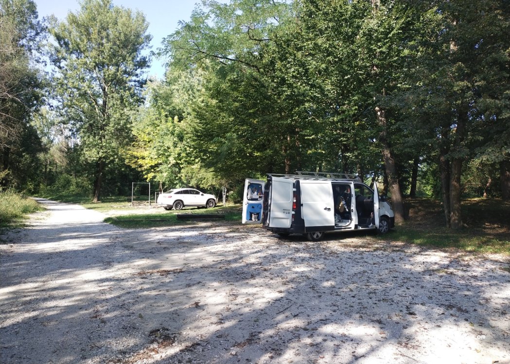 (1235) Škrjančevo - 5 V boršt — foto 4