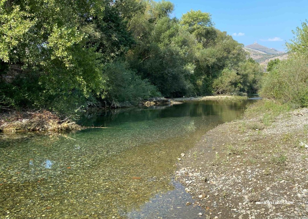 River Camping — foto 4