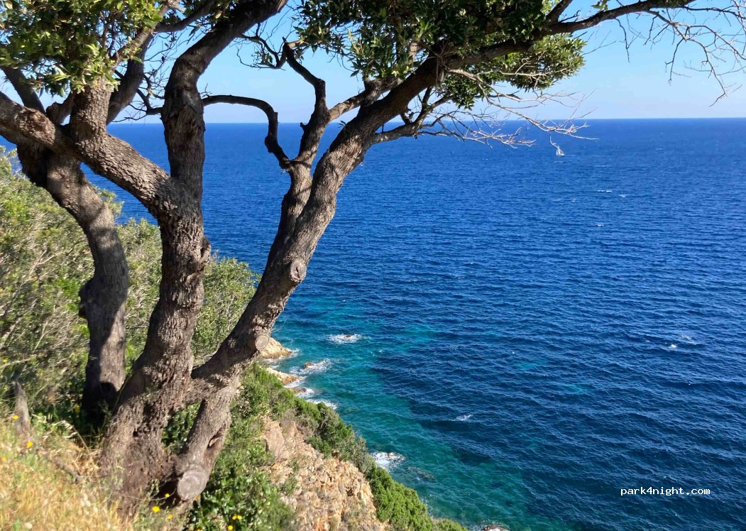 (57037) Portoferraio - 4 Via Ponte del Brogi Enfola Viticcio — foto