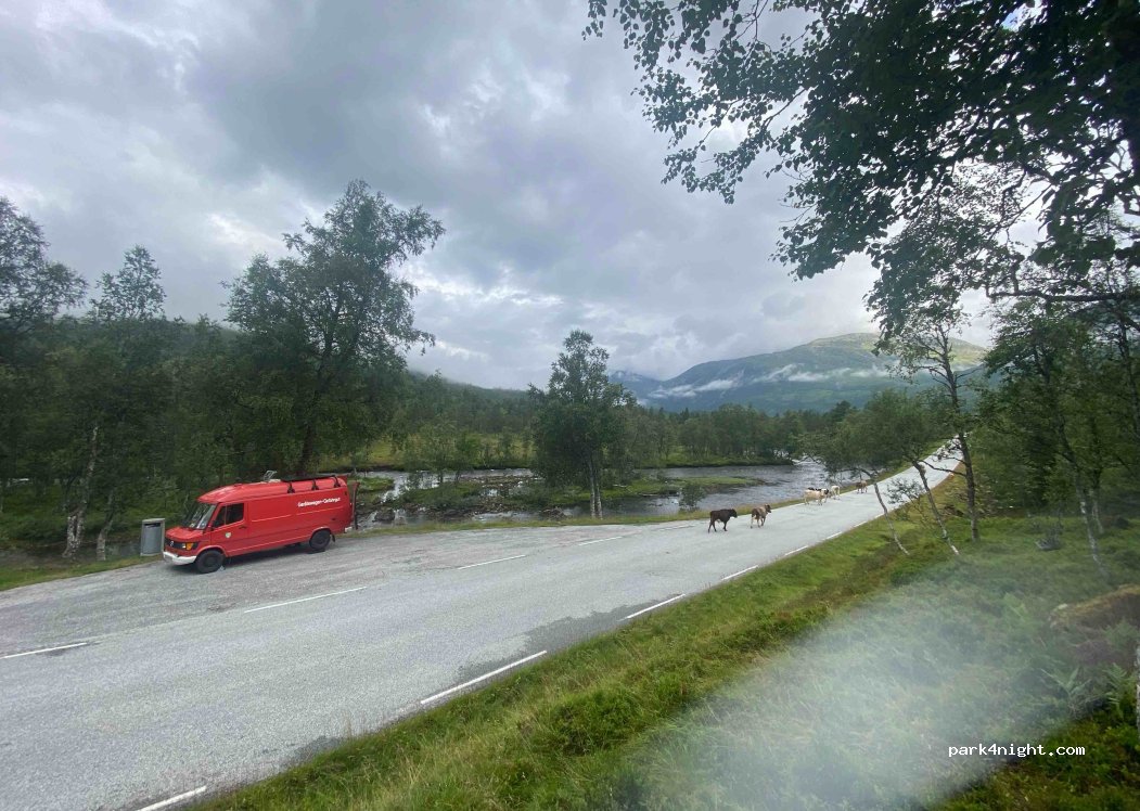 (6978) Viksdalen - Sekundær Fylkesvei 13 — foto 3