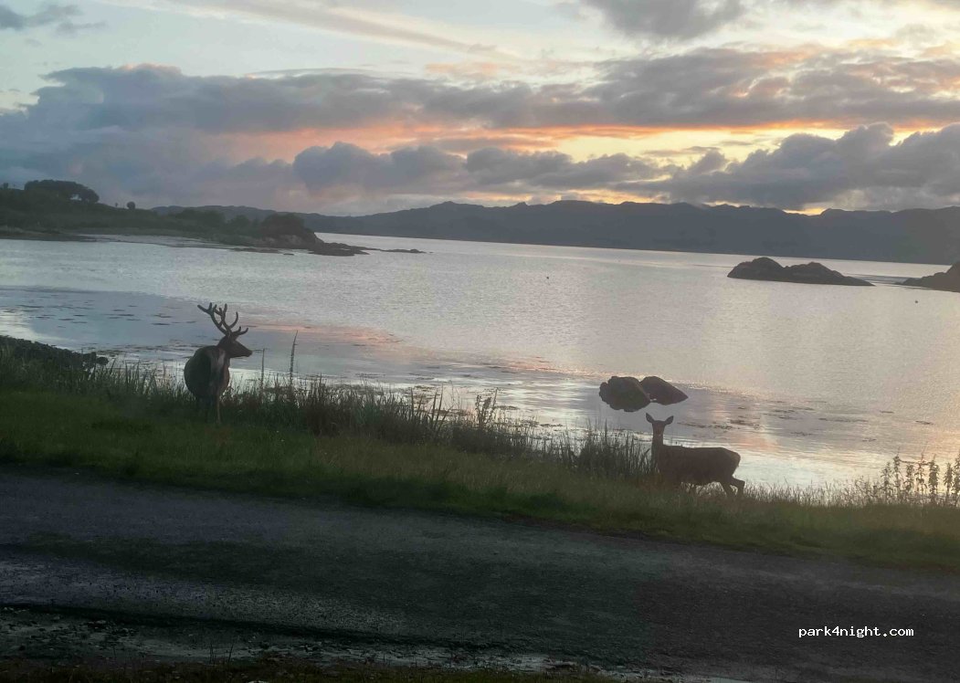 (PH38 4NG) Lochailort - — foto 3