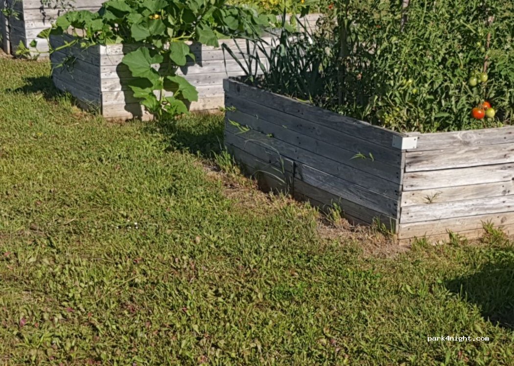 (10100) Gélannes - 1 Rue Pierre Chaplot — foto 2
