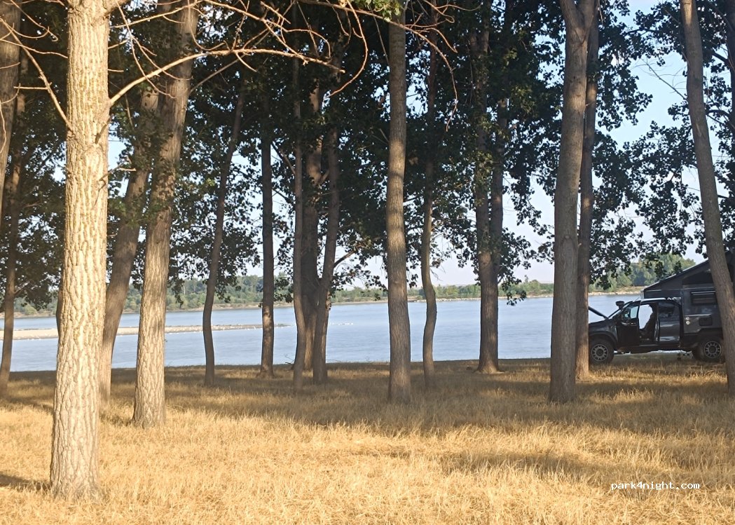 (917015) Borcea - — foto 3