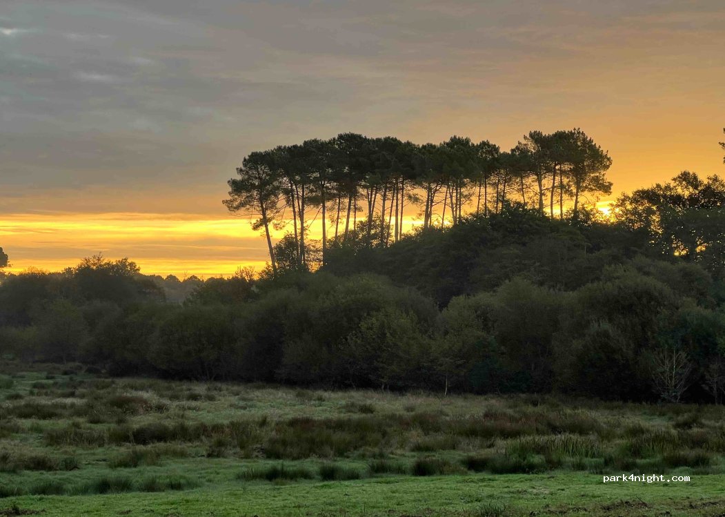 (40200) Pontenx-les-Forges - 55 Chemin de la Barde — foto 4