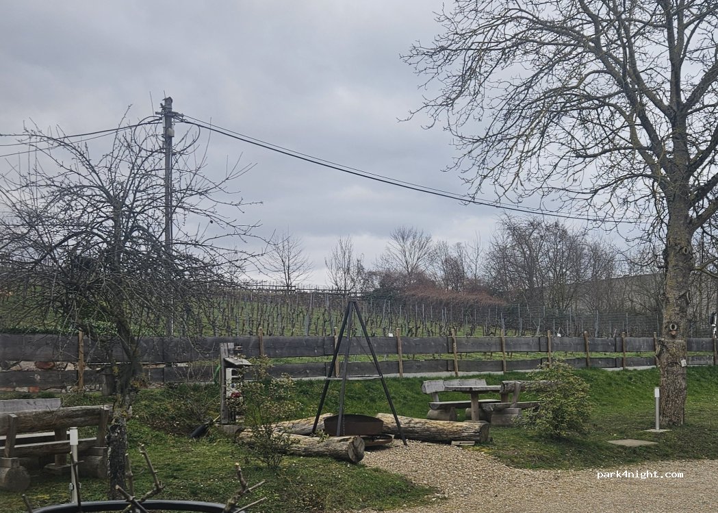 Weinhof Martin — foto 4