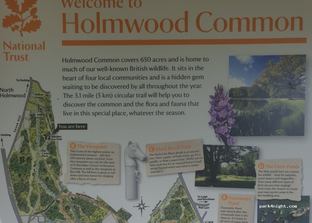 (RH5 4JH) Dorking - Inholms Lane — foto 4