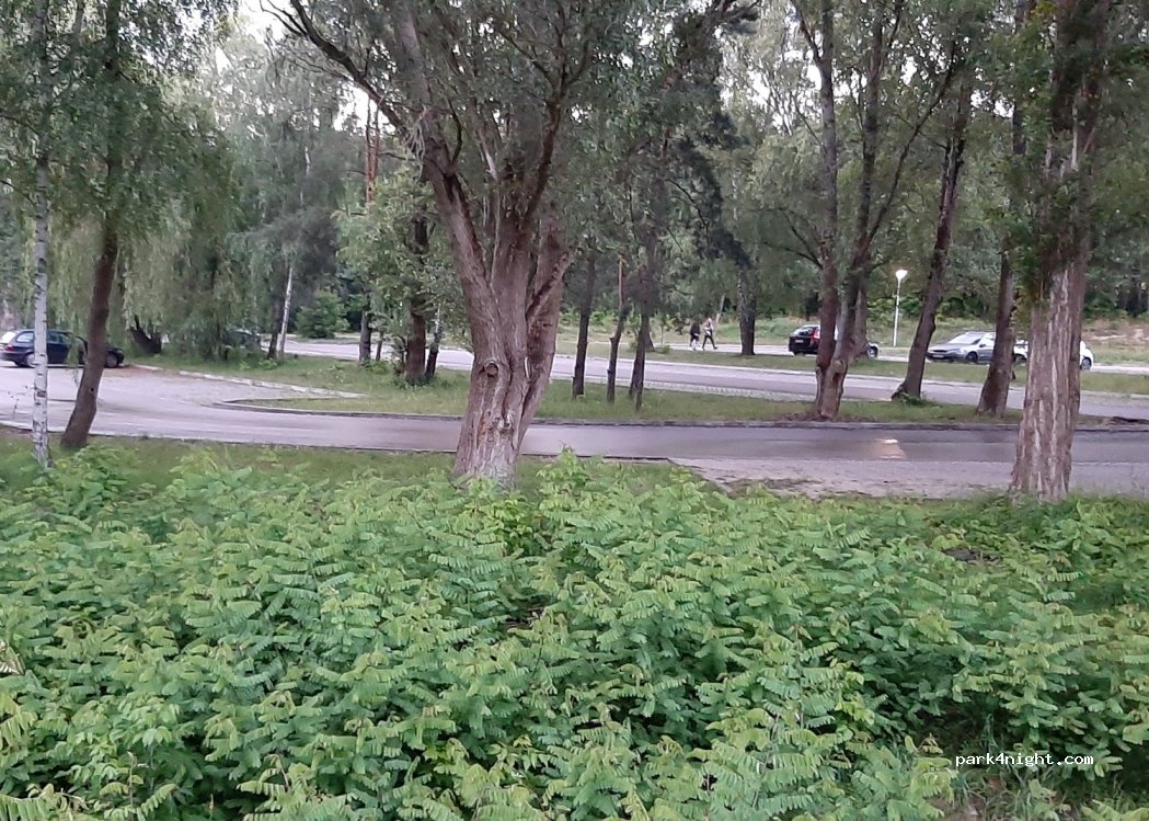 (26-008) Leszczyny - Unnamed Road — foto