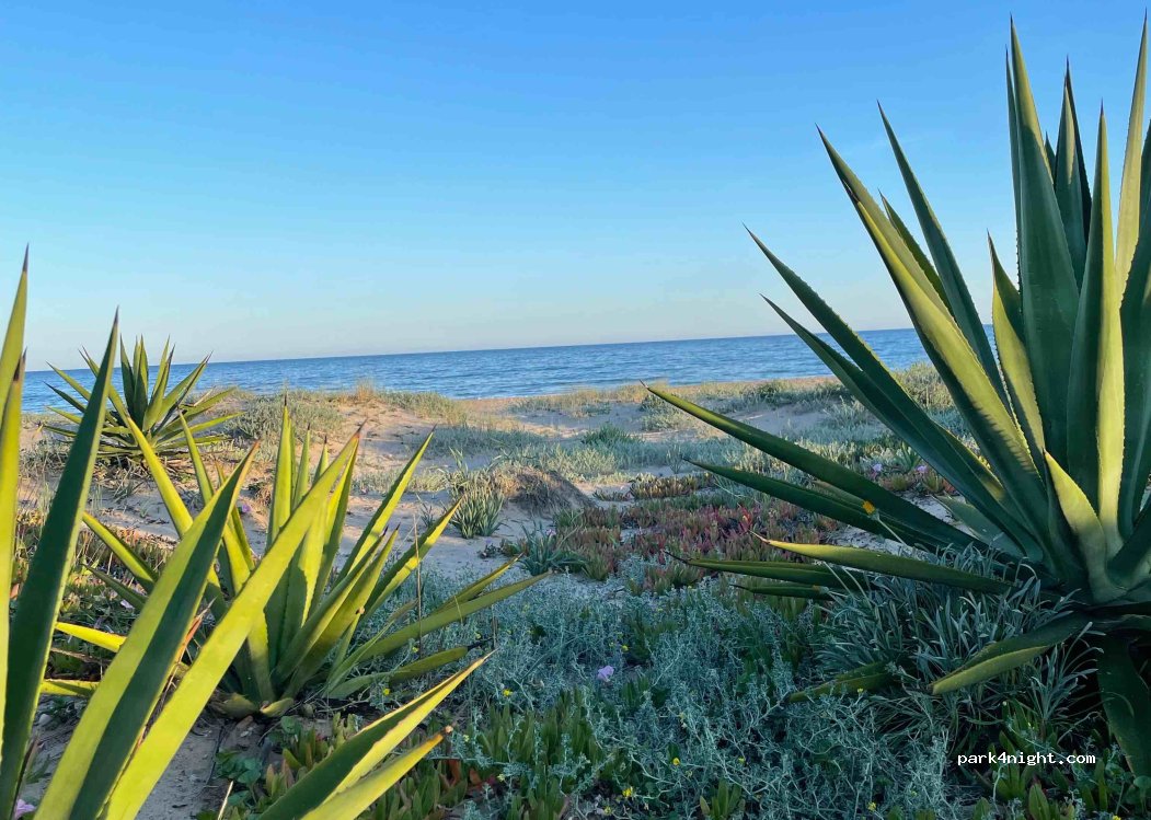 Camping Creixell — foto 4