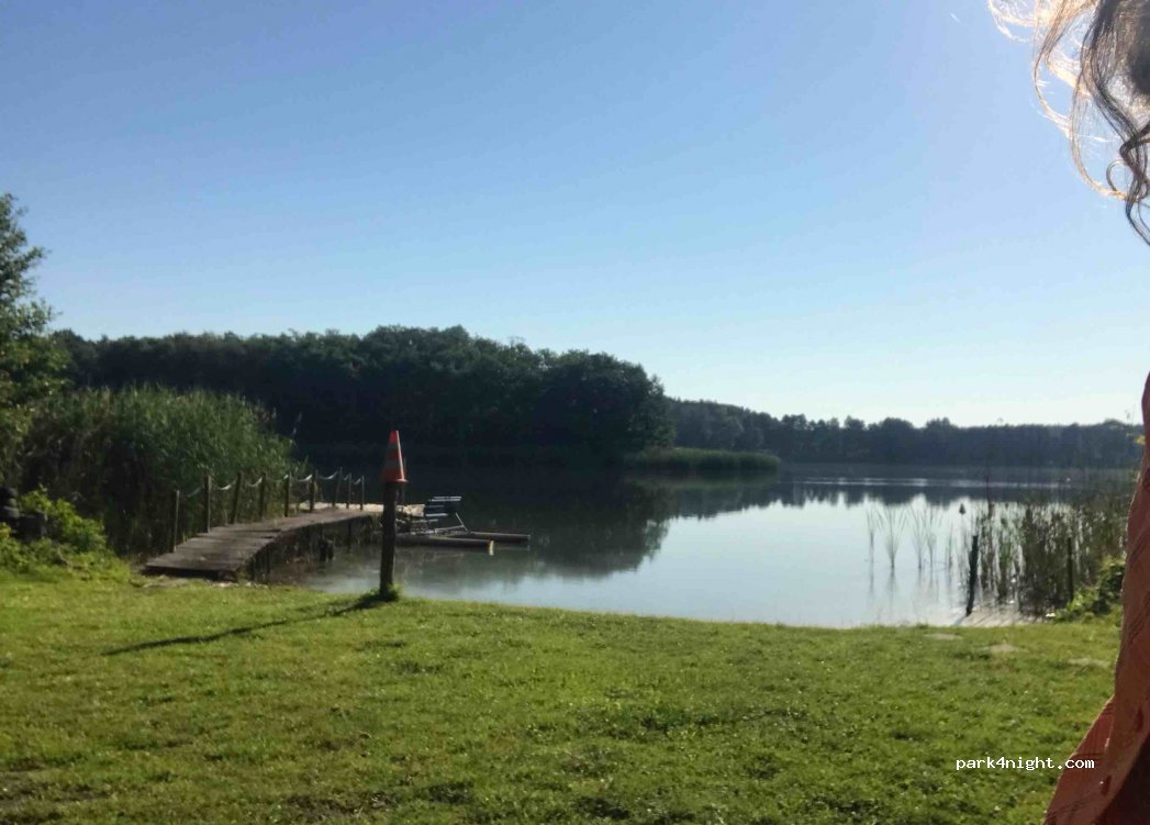(63-020) Zwola - Unnamed road — foto 3