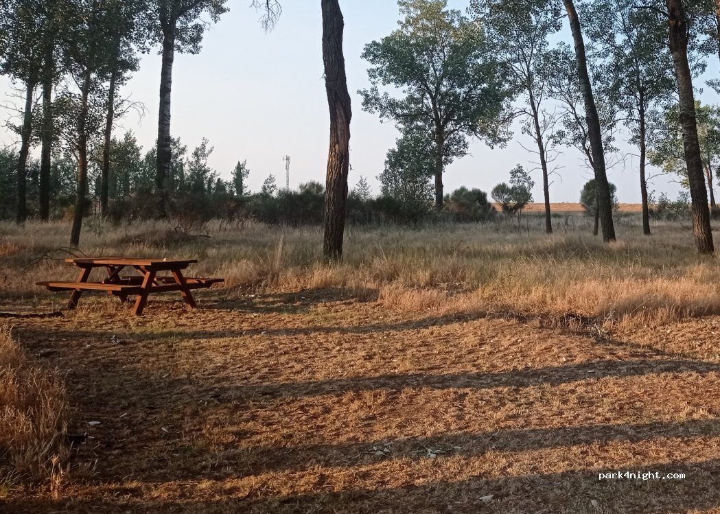 (49137) Villarrín de Campos - Unnamed road — foto