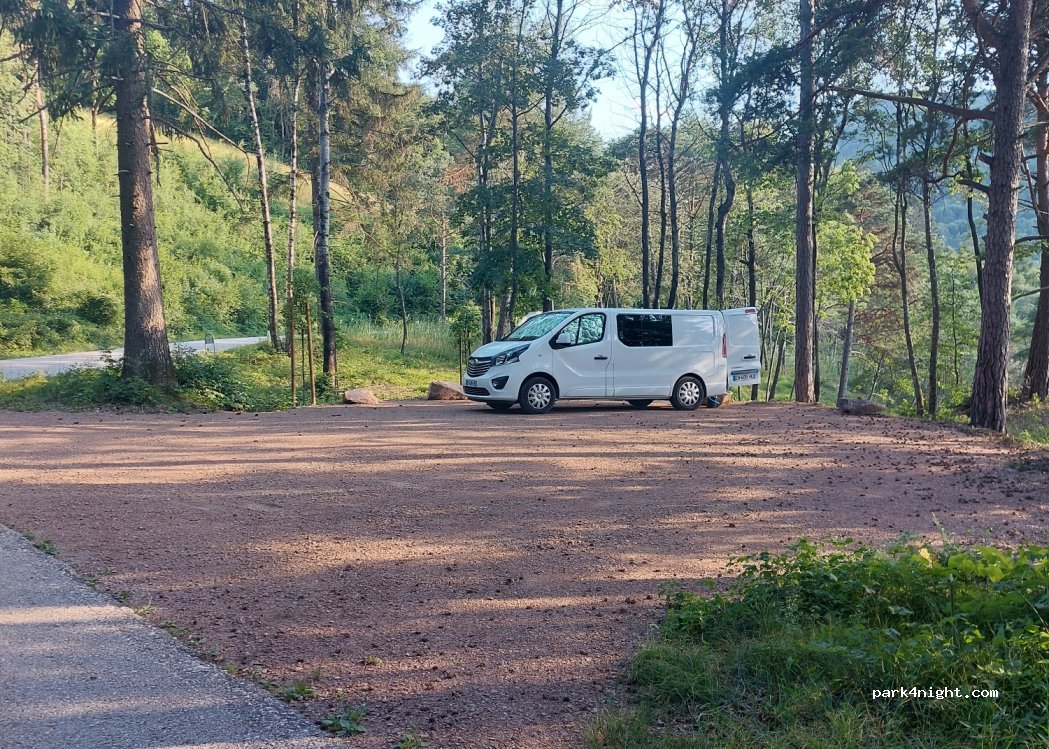 (38010) Faedo - — foto