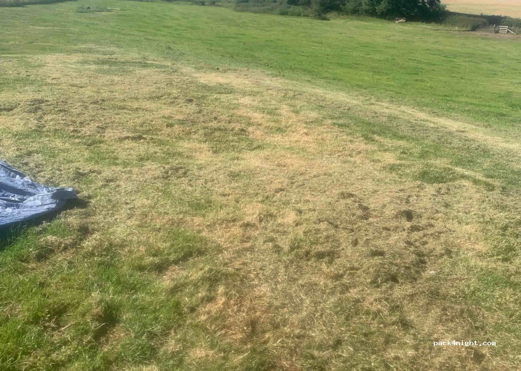 Bankfoot Camping — foto 2