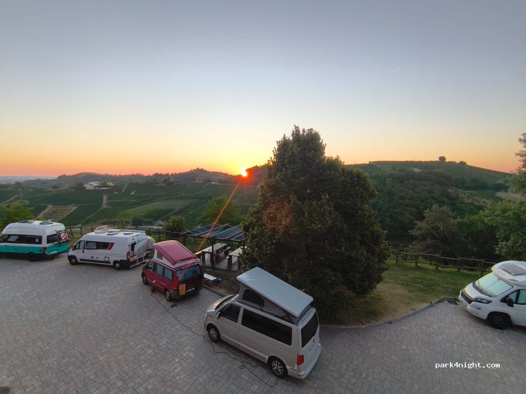 Azienda Agricola Filippo Gallino — foto 4