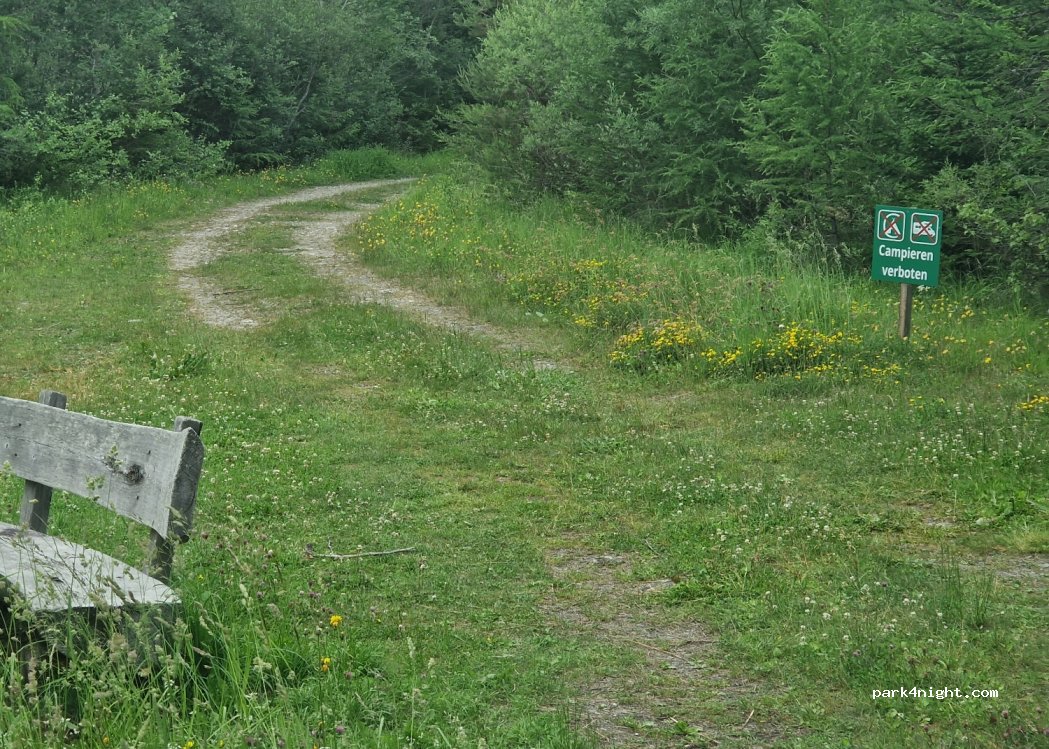 (9981) Lesach - Unnamed Road — foto 4