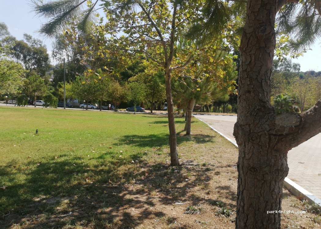 (07976) Gelemis - Unnamed Road — foto 2