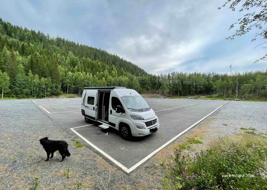 (2900) Fagernes - 50 Skrautvålvegen — foto 3
