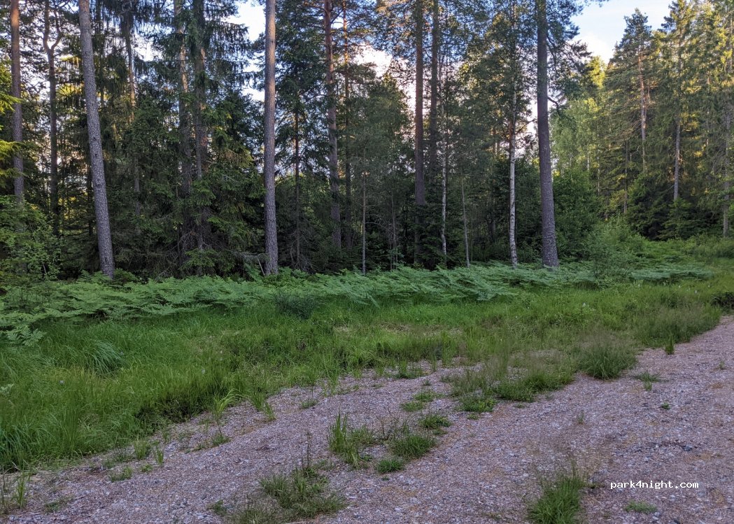 (618 92) Kolmården - — foto