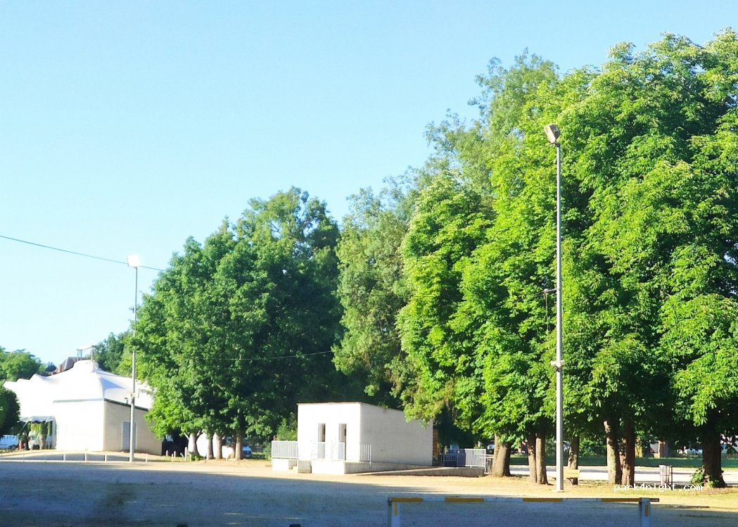 (41300) Salbris - 6 Avenue d'Orléans — foto 2