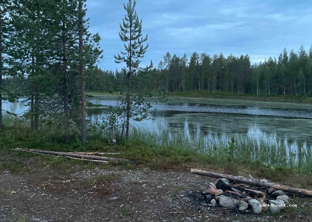 (924 92) Blattnicksele - — foto