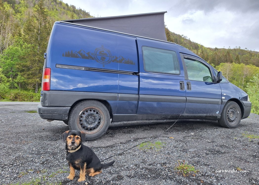 (8664) Vefsn - 16 Primær Fylkesveg 78 — foto 5