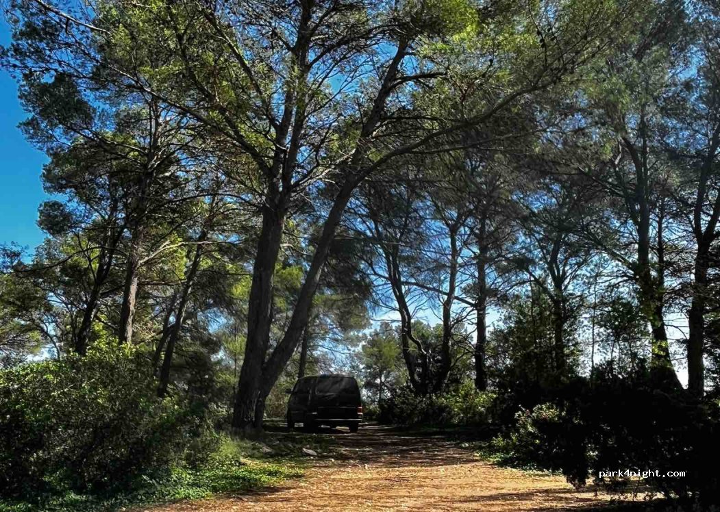 (07830) Sant Josep de sa Talaia - — foto 2