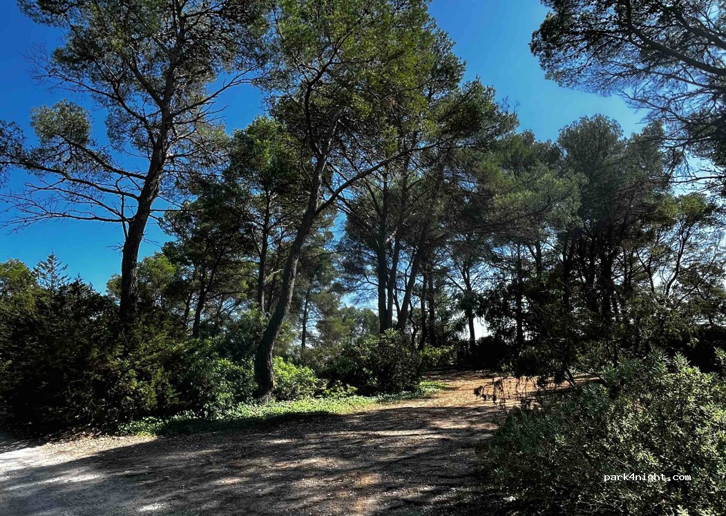 (07830) Sant Josep de sa Talaia - — foto 3