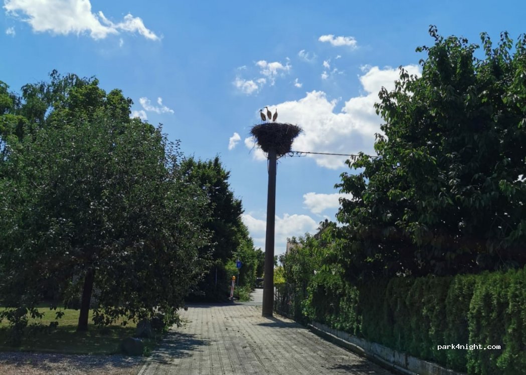 (67378) Zeiskam - 18 Austraße — foto